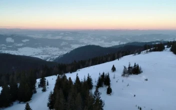 Video Stock Pine Trees In A Winter Mountain At Sunset Free