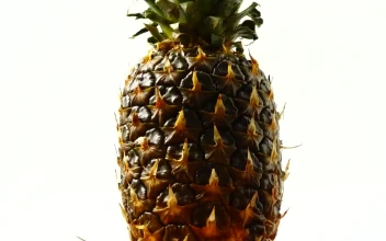 Video Stock Pineapple Spinning On A White Background Free