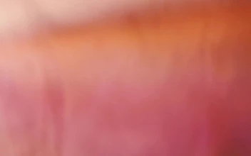 Video Stock Pink And Orange Smoke Free
