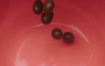 Video Stock Pink Bowl Being Filled With Many Chocolate Beans Free
