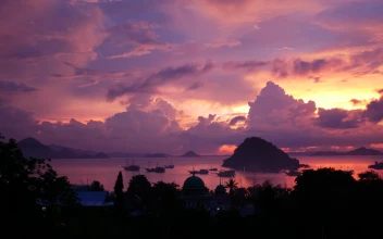 Video Stock Pink Sunset On A Tropical Landscape Free