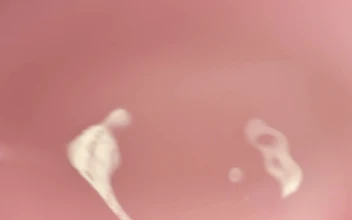 Video Stock Pink Water Rippling Free