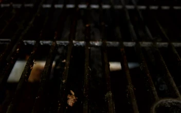 Video Stock Placing A Burger On The Grill Free