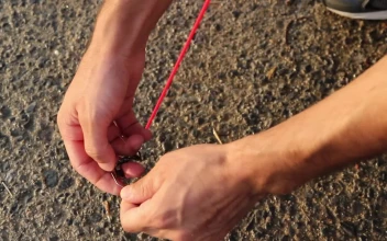 Video Stock Placing A Fastener With A Rope On The Floor Free