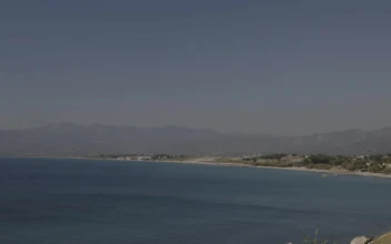 Video Stock Plane Takes Off From A Beach Town Free