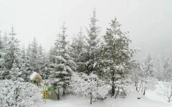 Video Stock Playground In Winter While Is Snowing Free