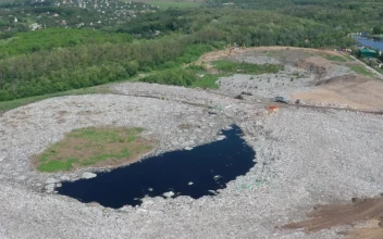 Video Stock Polluted Lake Near A Garbage Landfill Free