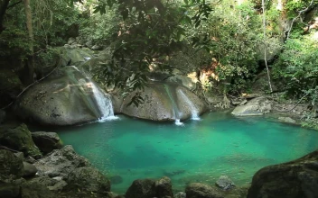 Video Stock Pool With Waterfalls In The Jungle Free