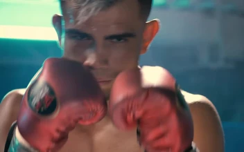 Video Stock Portrait Of A Boxer Training Free