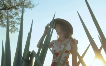 Video Stock Portrait Of A Girl In A Sunny Maguey Field Free