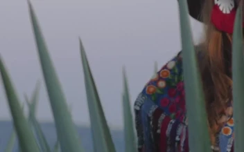 Video Stock Portrait Of A Girl In Mexican Attire Among Magueys Free