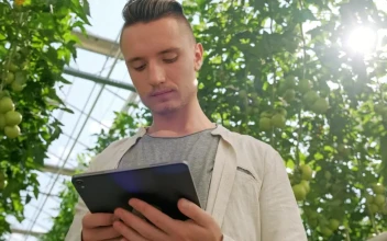 Video Stock Portrait Of A Man Using A Tablet At A Greenhouse Free