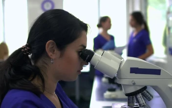 Video Stock Portrait Of Woman Working In A Laboratory Free