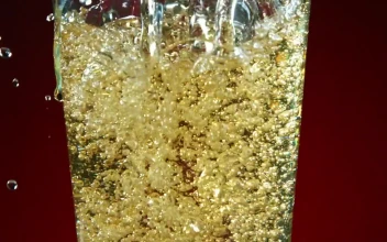 Video Stock Pouring Beer In Slow Motion Free