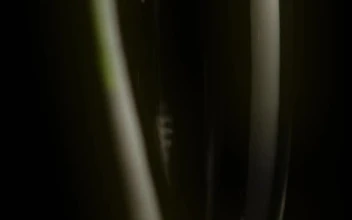 Video Stock Pouring Champagne Into A Glass Goblet On A Dark Background Free
