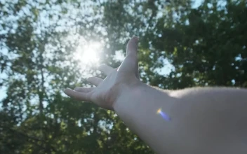 Video Stock Pov Of A Persons Hand Touching The Sun Free