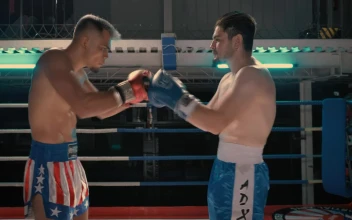 Video Stock Practice Fight Between Boxers Free