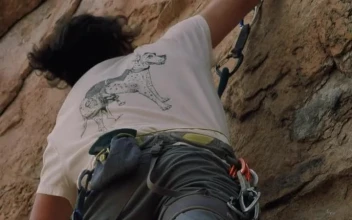 Video Stock Practicing Extreme Mountaineering On A Rocky Mountain Free