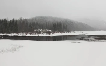 Video Stock Prairie Snow In A Pine Forest With Cabins Free