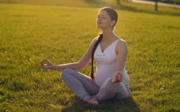 Video Stock Pregnant Woman Meditating Outdoor Free
