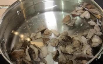 Video Stock Preparing To Boil Mushrooms Free