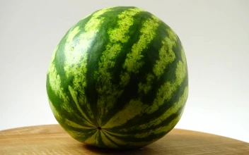 Video Stock Presentation Of A Watermelon Free