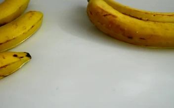 Video Stock Presentation Of Bananas On Water Free