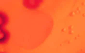Video Stock Preserved Viruses Free