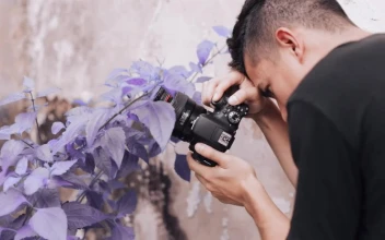 Video Stock Pro Photographer Taking Photos Of Purple Flowers Free