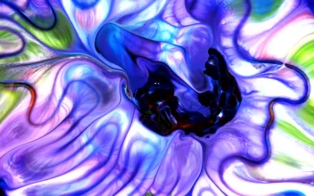 Video Stock Psychedelic Ink Texture Moving Abstractly Free