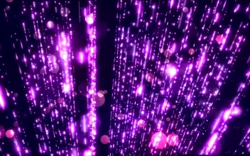 Video Stock Purple Neon Lights Free