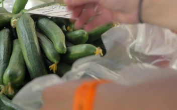 Video Stock Putting Market Produce Into A Bag Free