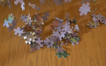 Video Stock Puzzle Pieces Falling On A Table Free