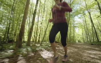 Video Stock Quickly Running Through Woodland Free