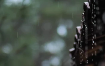 Video Stock Rain Falling From The Roof On A Rainy Day Free