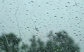 Video Stock Rain Falling On A Car Window Free