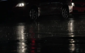 Video Stock Rain Falling On A Quiet Road Free