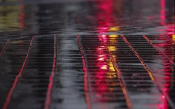 Video Stock Rain Falling On The Sidewalk Free