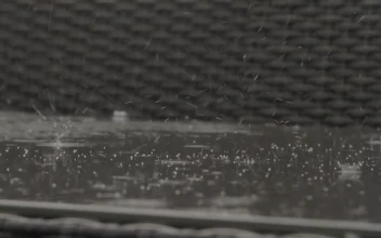 Video Stock Rain Falling Onto A Bench Free