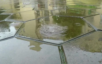Video Stock Raindrops Falling On The Flagstone Free