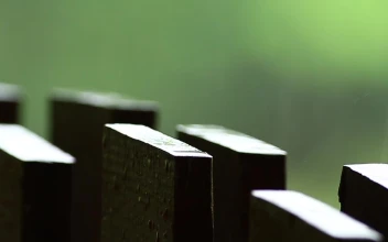 Video Stock Rainfall On A Wooden Fence Free