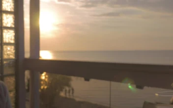 Video Stock Raising Wine Glasses At Sunset Free