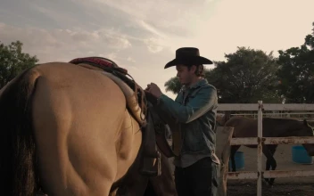 Video Stock Rancher Man Tying A Saddle Chair To A Horse Free