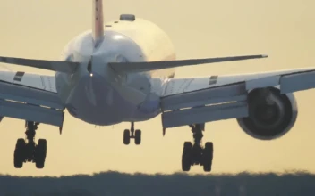 Video Stock Rear View Of Airplane Landing Free