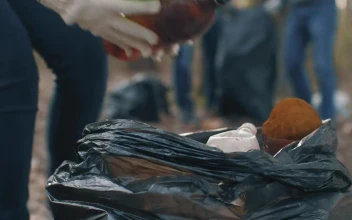 Video Stock Recycling Garbage From A Park Free