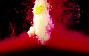 Video Stock Red And White Abstract Forms Free