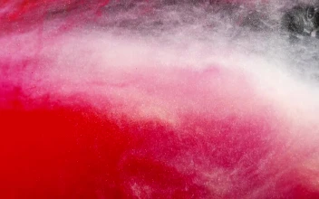 Video Stock Red And White Forms Free