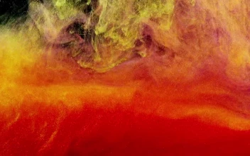 Video Stock Red And Yellow Abstract Forms Free