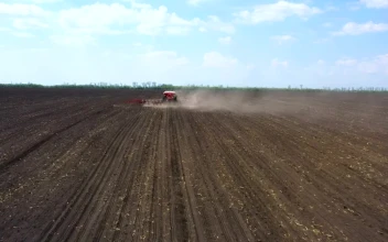 Video Stock Red Big Tractor Plowing The Field Free