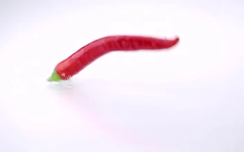 Video Stock Red Chili Pepper Falling Into Water Free